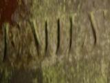 image of grave number 10729